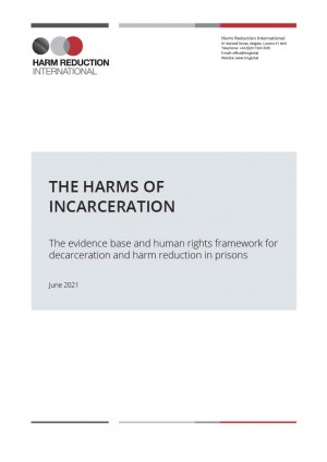 The Harms of Incarceration