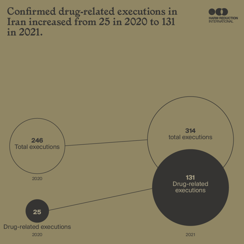Confirmed drug-related executions in Iran increased from 25 in 2020 to 131 in 2021.